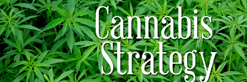 cannabisstrat's profile banner image