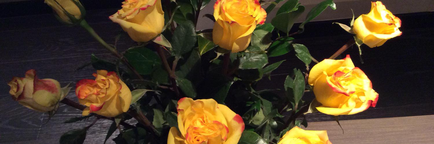 RocioFeelGood's profile banner image
