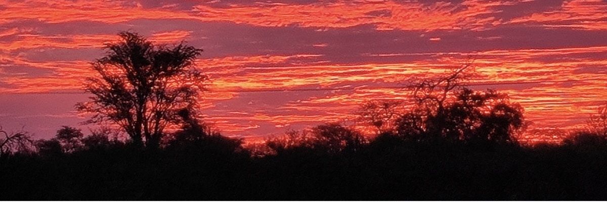 gaweiberlen's profile banner image