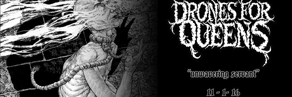 dronesforqueens's profile banner image