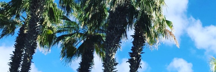 RuchWellness's profile banner image