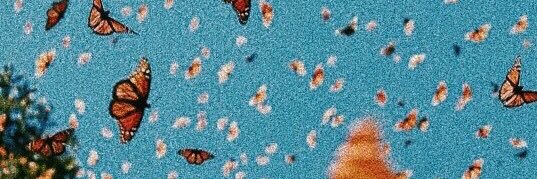KISSYYVOL6's profile banner image