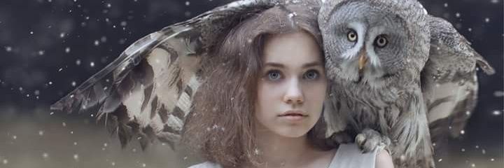 Annesiii's profile banner image