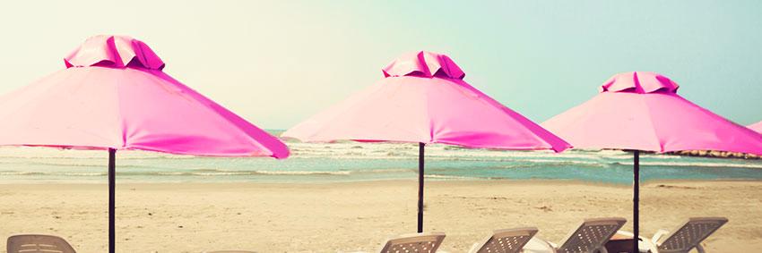 PinktheBasin's profile banner image