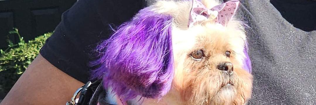 iamMoe_'s profile banner image