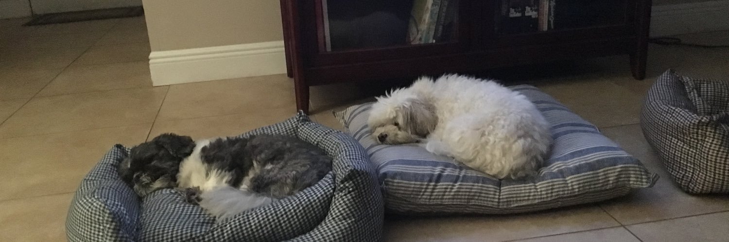 Fran Auerbach banner