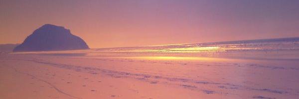 catheesunset's profile banner image