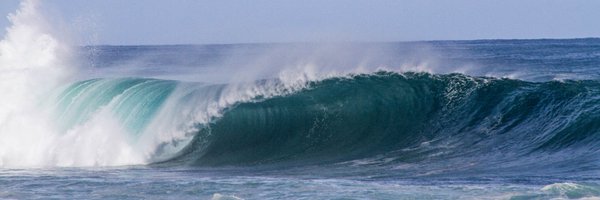YeniRiley's profile banner image