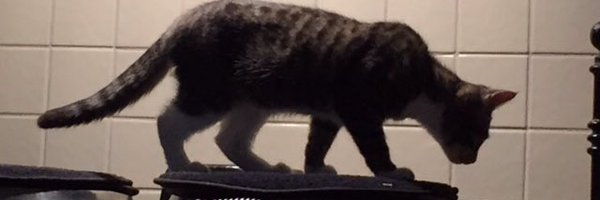 rosenthal_jim Profile Banner