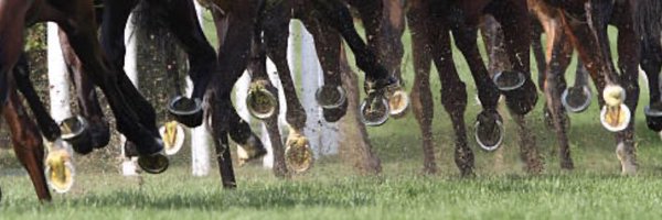 echarpy Profile Banner