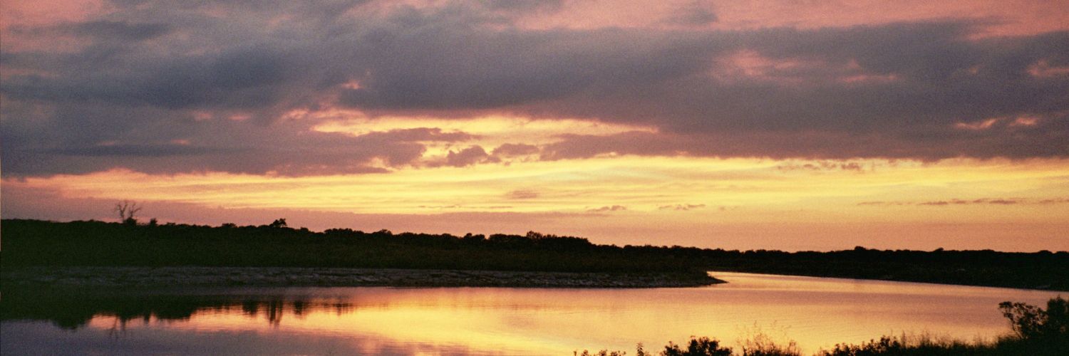 NoHo_o's profile banner image
