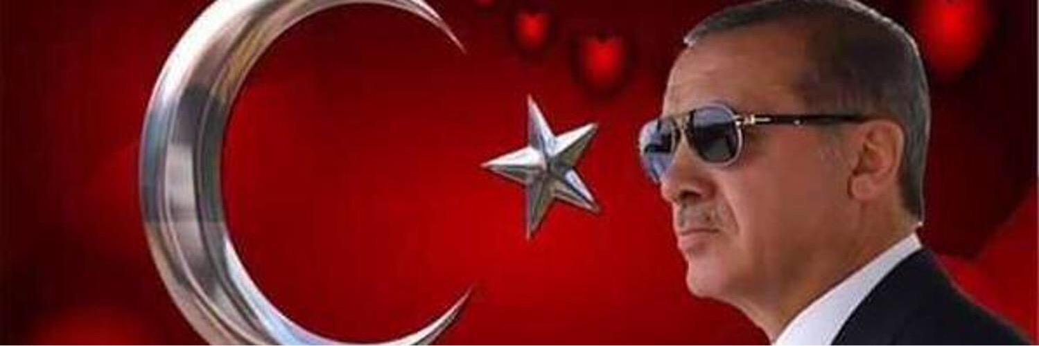 cay_ergun's profile banner image