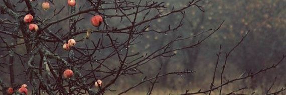 fayebaye94's profile banner image