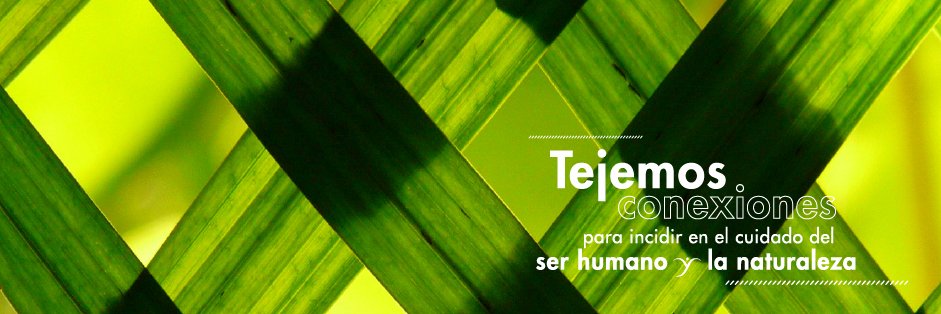 Socya banner