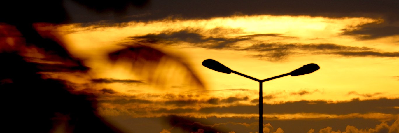 BizCandido's profile banner image