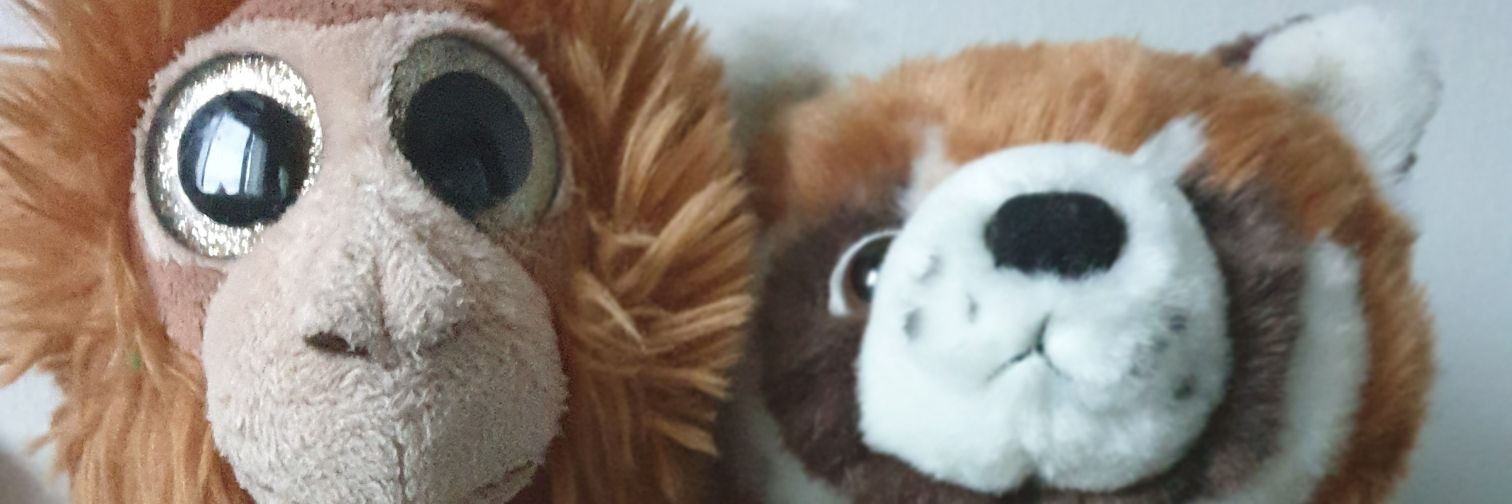 RadcliffeElerch's profile banner image