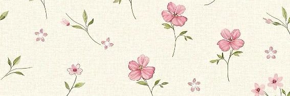 🍉 banner