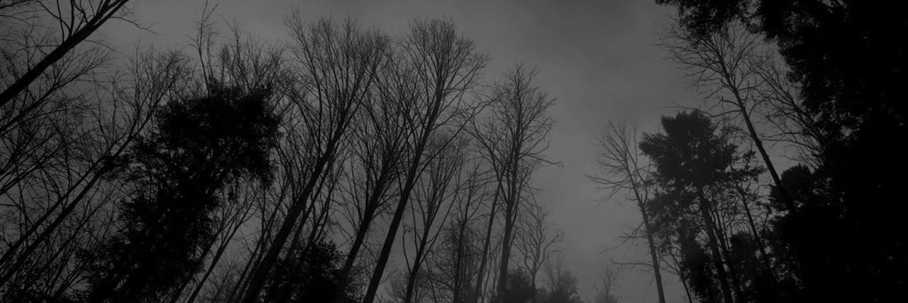 bru_colman's profile banner image