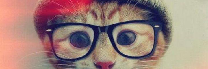 avclar_gamze's profile banner image