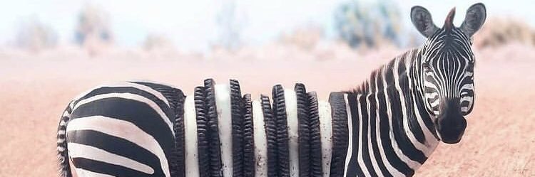 frukothegreat's profile banner image