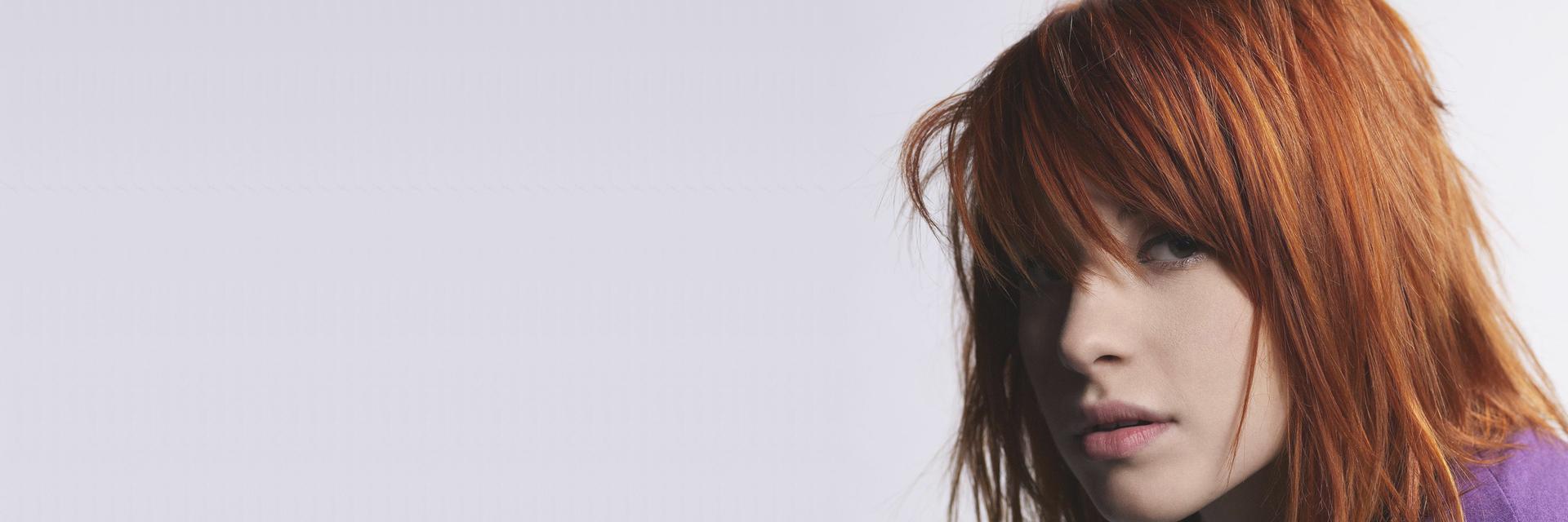 Chesnoid's profile banner image