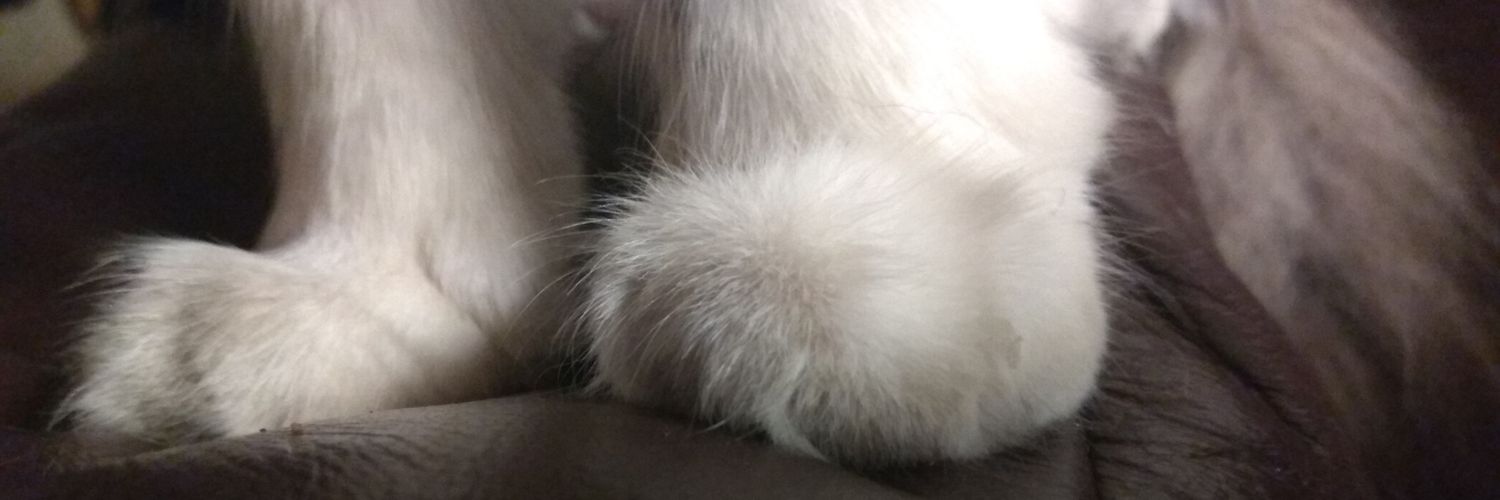 _BadHairDay's profile banner image