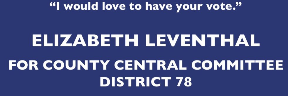 elizabethlev's profile banner image