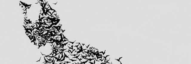 Madknight11's profile banner image
