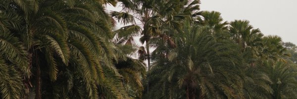 kevinclark Profile Banner