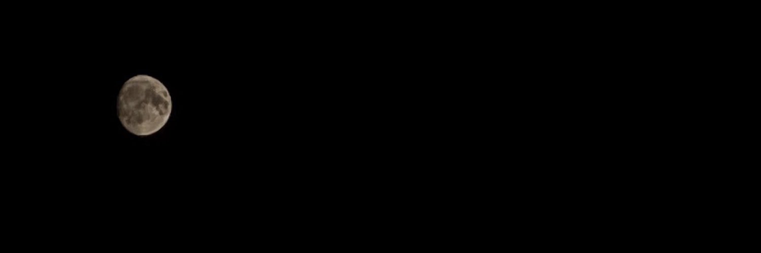 SkeloJr's profile banner image