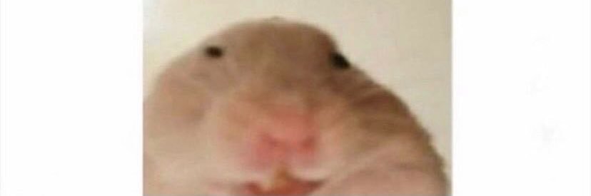 𝓅𝑒𝓇𝓈𝑒𝓅𝒽𝒾𝓃𝑒🧚 banner