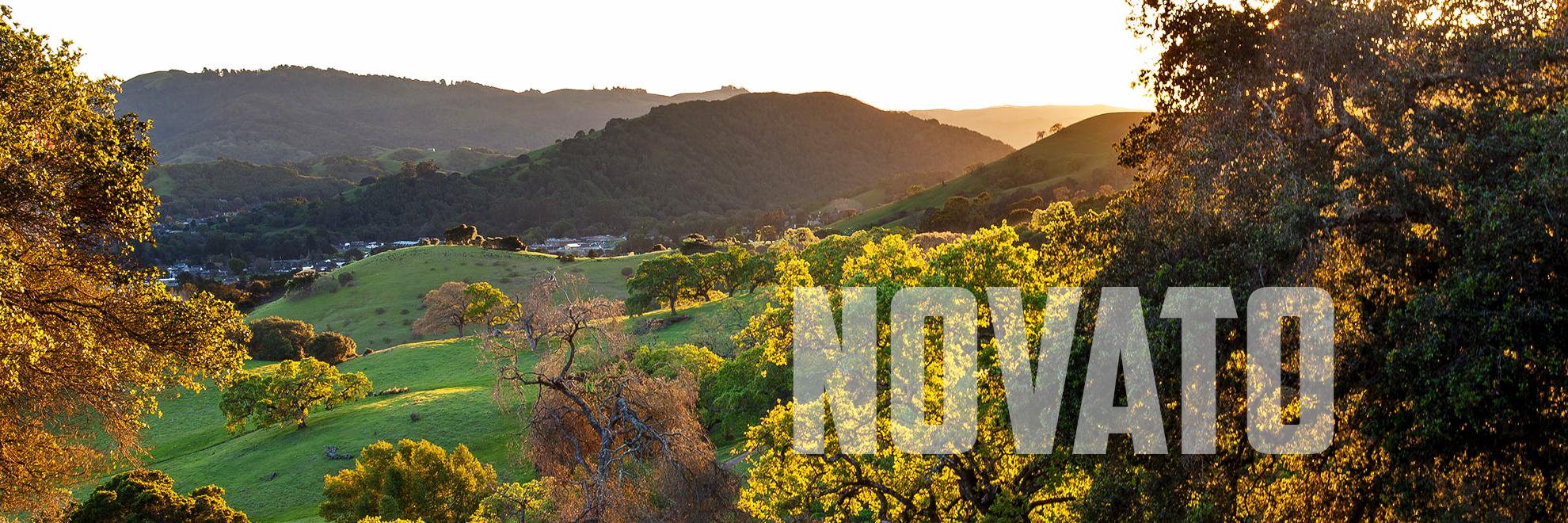 NovatoChamber's profile banner image