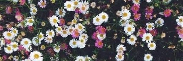 vic banner