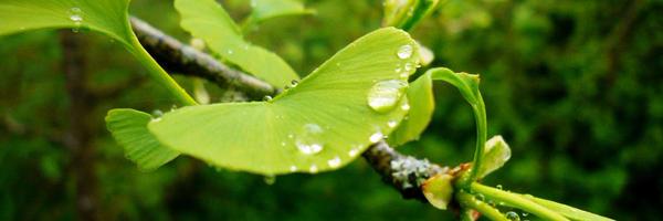 josemanugb Profile Banner