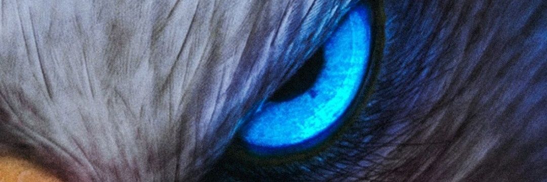 kennymateo's profile banner image