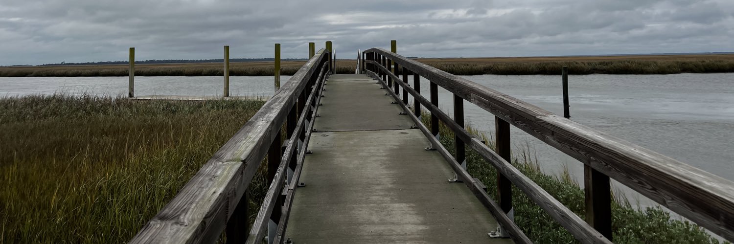 Roots Woodruff banner