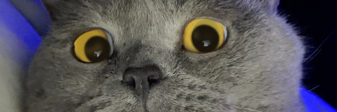 MrMichael09's profile banner image