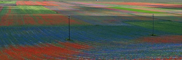 viverefoligno Profile Banner