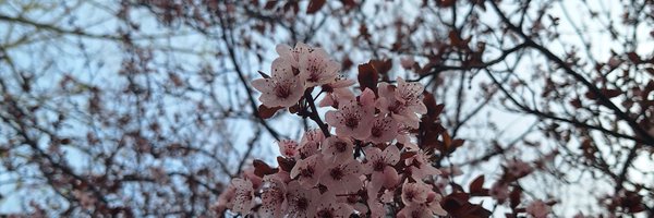 menaa_to Profile Banner