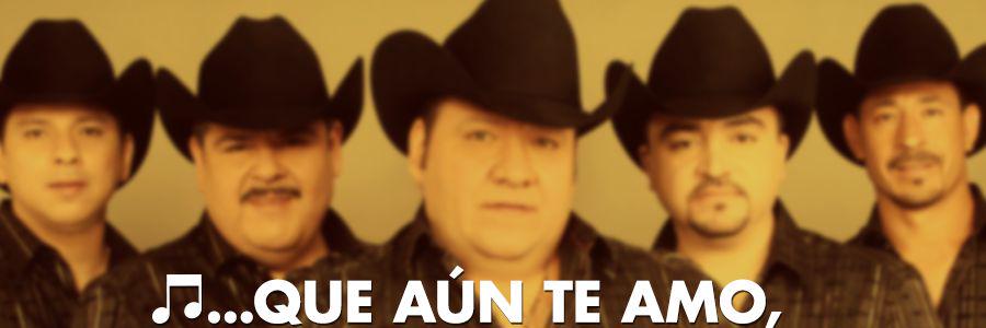 perlapadilla811's profile banner image