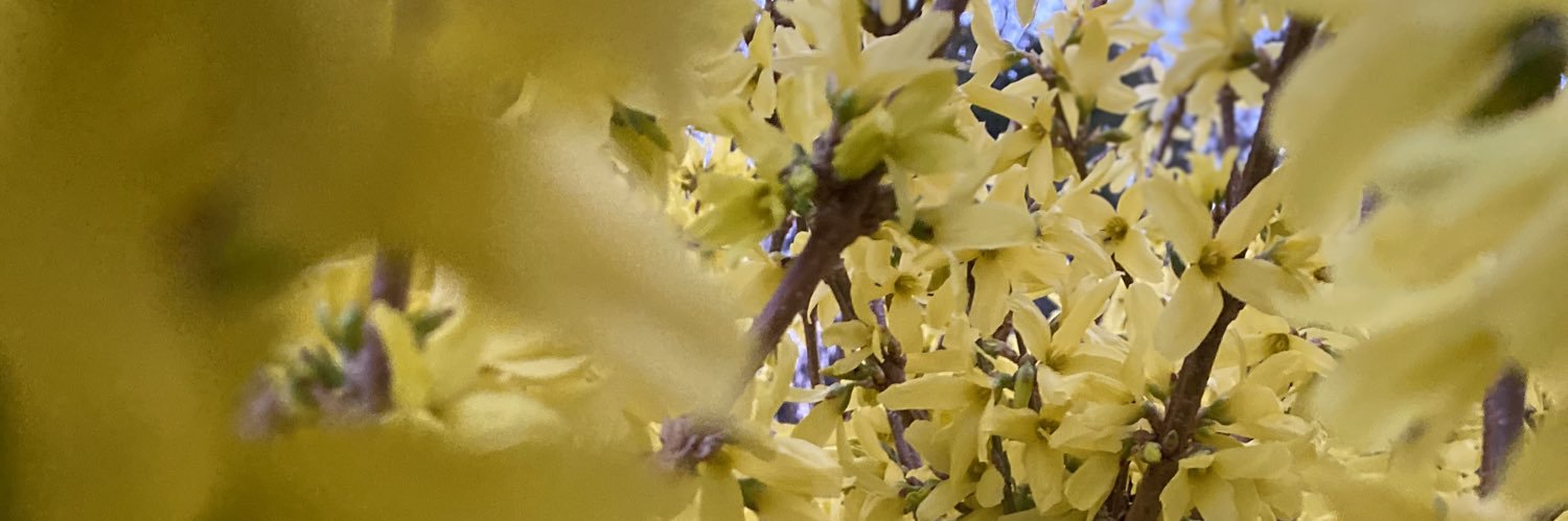 RichStatRealty's profile banner image