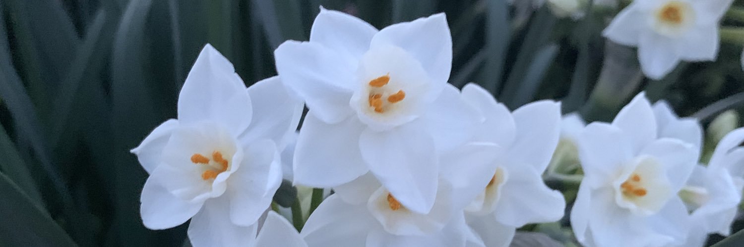 heyytinaa's profile banner image