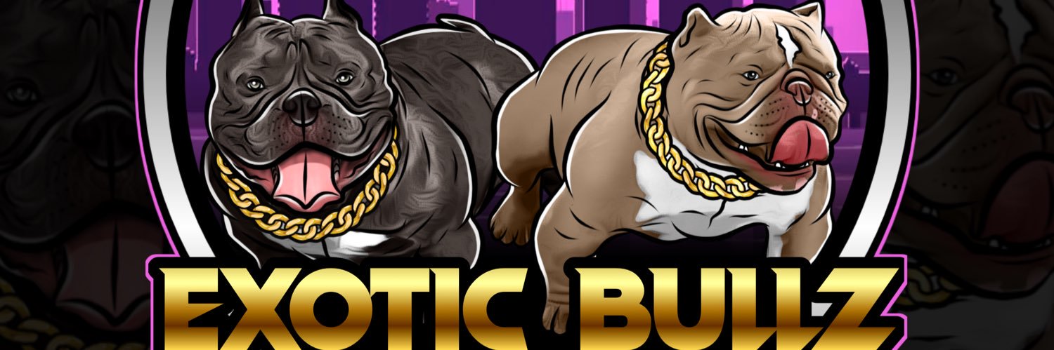 misvnderstxxd's profile banner image