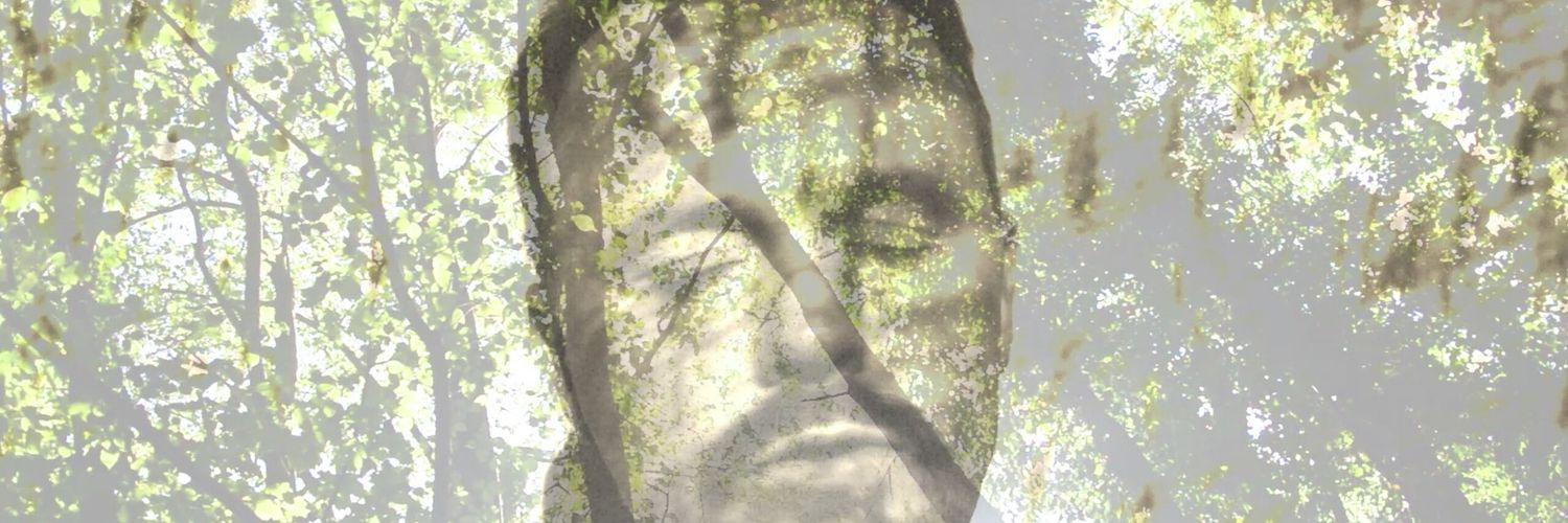 Adipoo's profile banner image