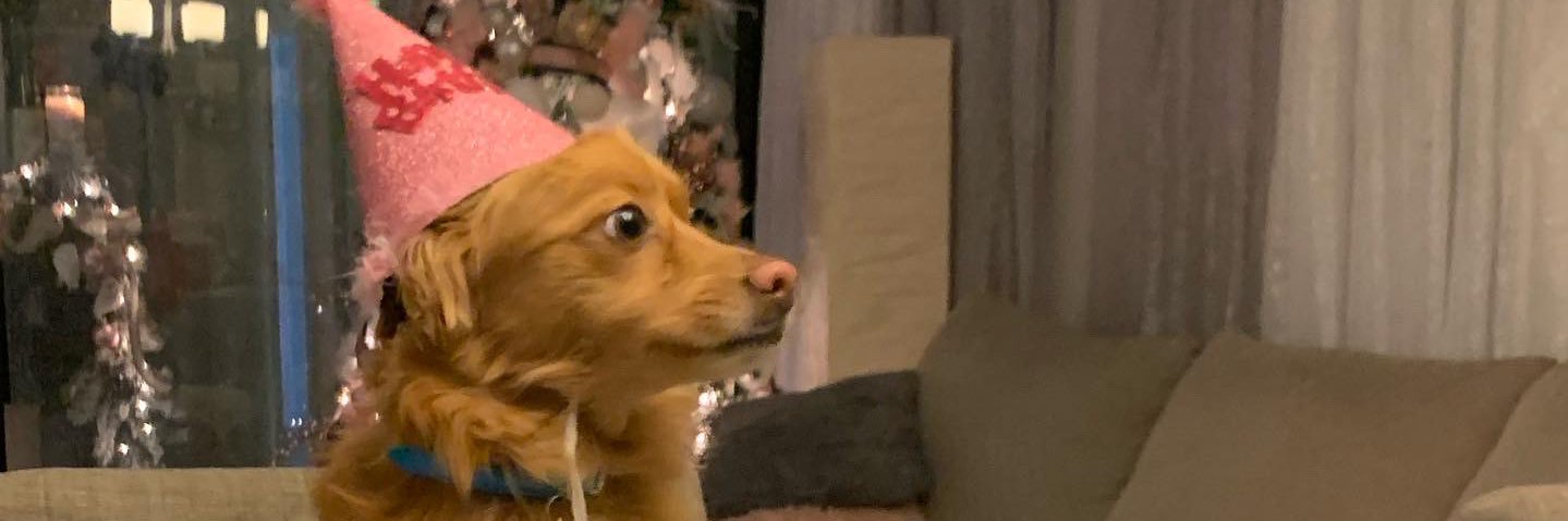 gaddigaddi2's profile banner image