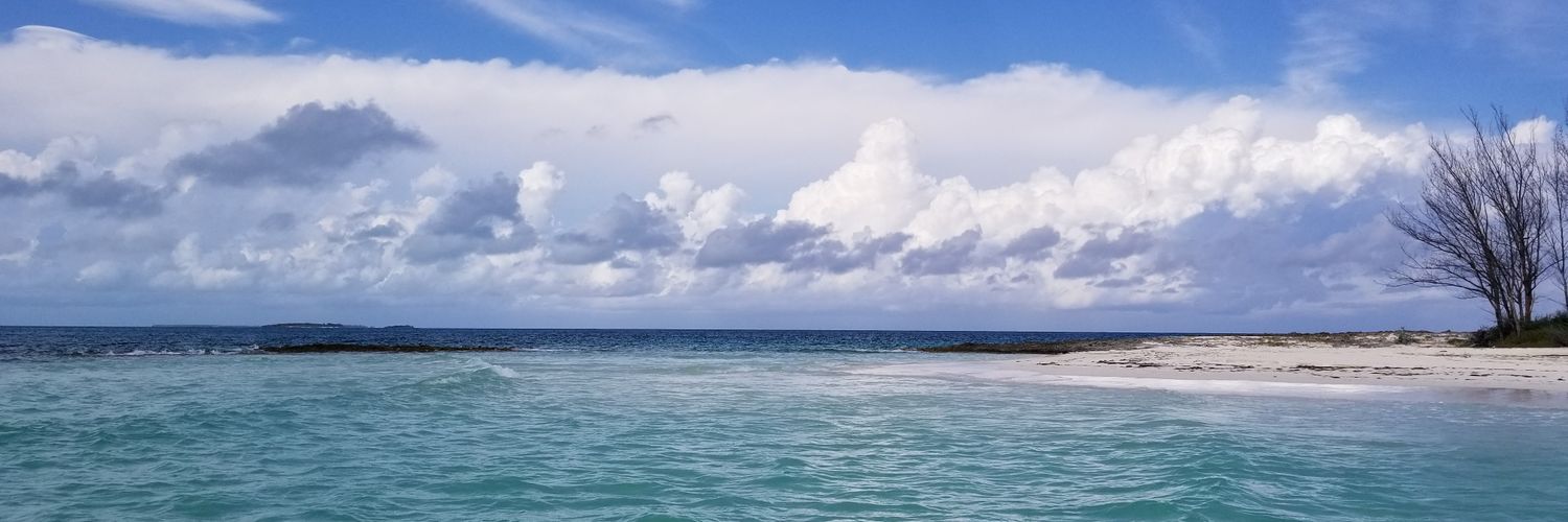 TaniaShoes's profile banner image