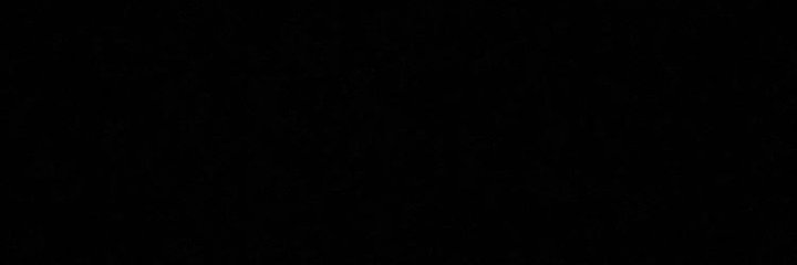 Sarah Jane Simms banner