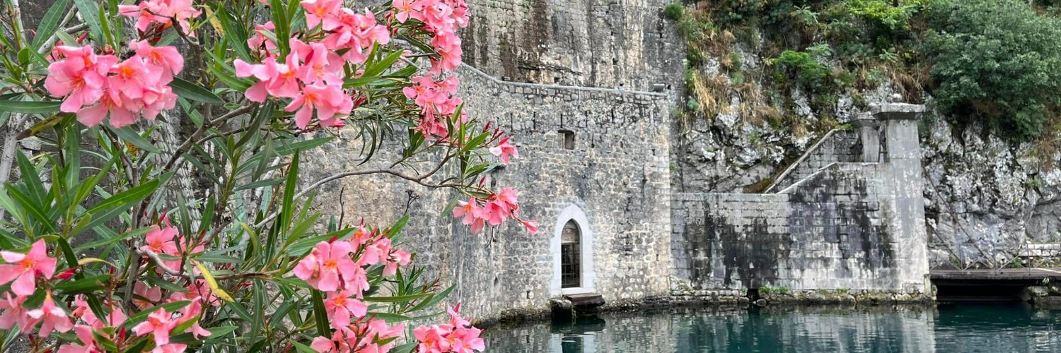 Jessica Walker banner