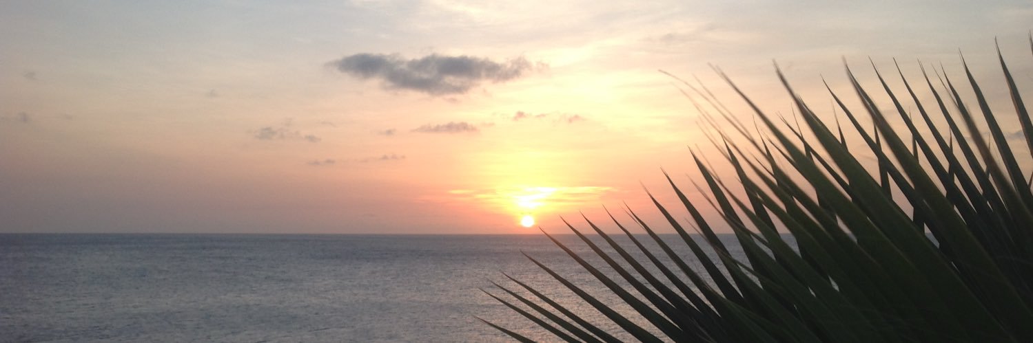 NaomiBuckta's profile banner image