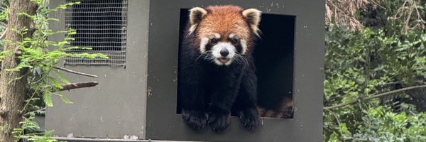 KFILE Profile Banner